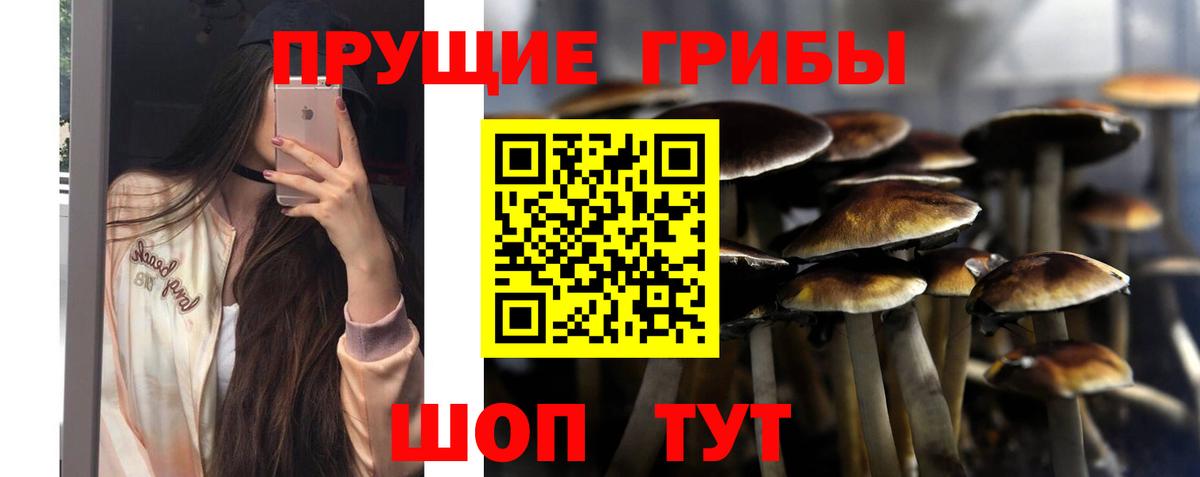 Галлюциногенные грибы ЛСД Урус-Мартан